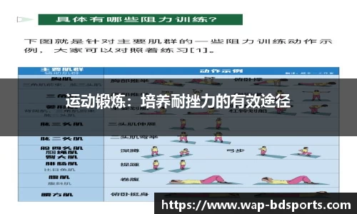 半岛体育 - 半岛体育官网 - BANDAO SPORTS